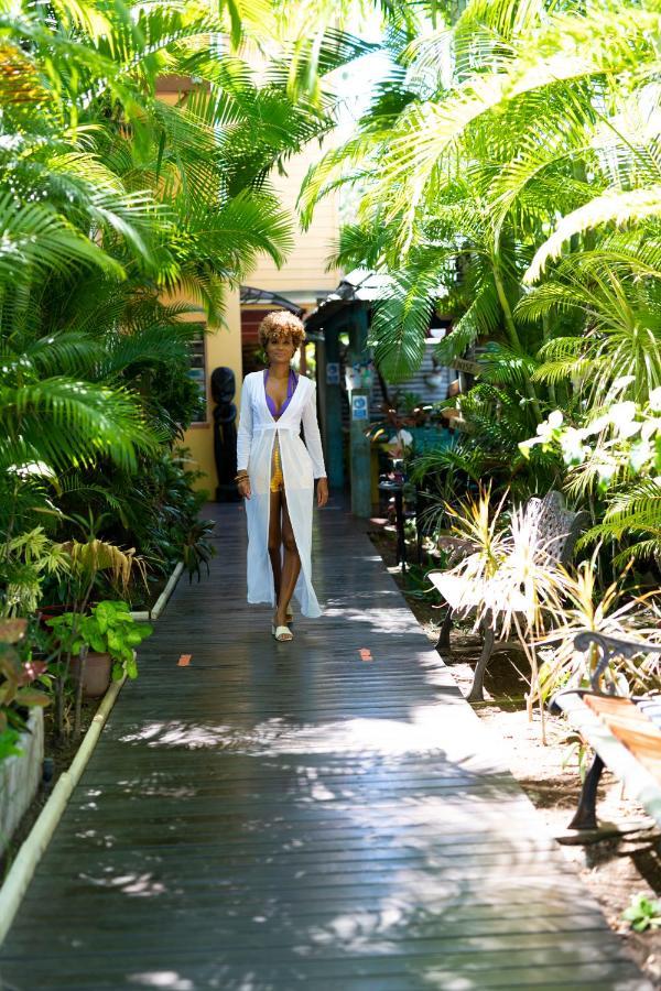 Hotel Les Bougainvilliers Saint-Gilles-les-Bains Exterior foto