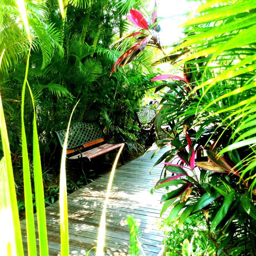 Hotel Les Bougainvilliers Saint-Gilles-les-Bains Exterior foto